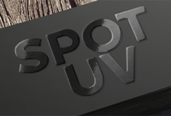 Business Cards Raised Spot UV